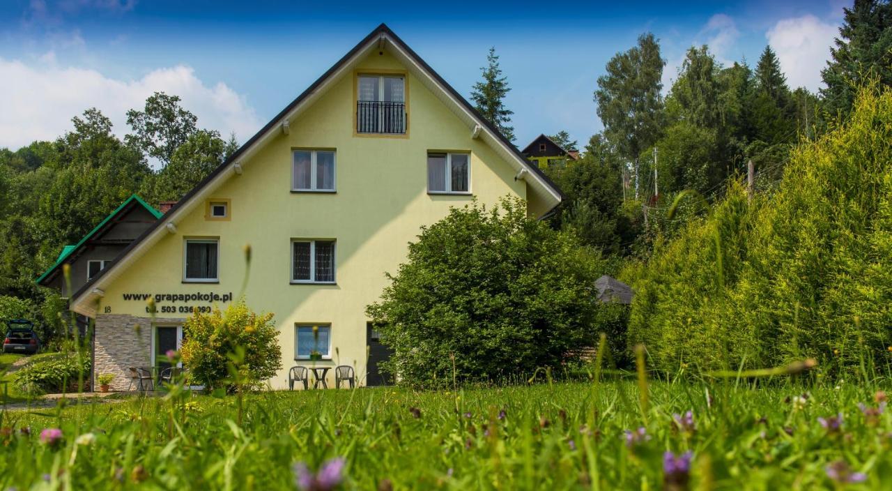 Apartamenty Grapa Szum Rzeki Parking Free Wisła Eksteriør billede