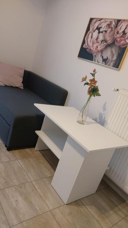 Apartamenty Grapa Szum Rzeki Parking Free Wisła Eksteriør billede