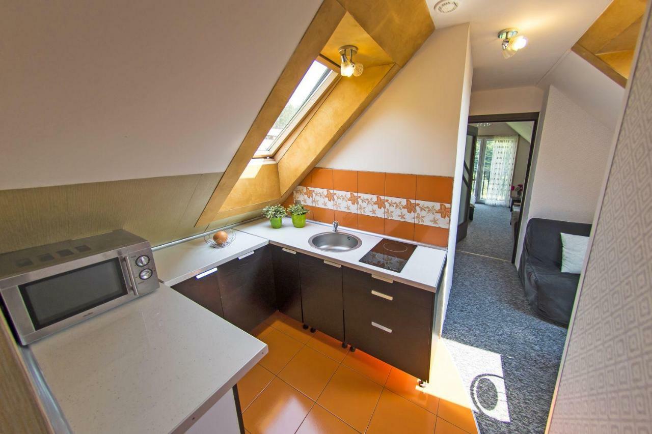 Apartamenty Grapa Szum Rzeki Parking Free Wisła Eksteriør billede